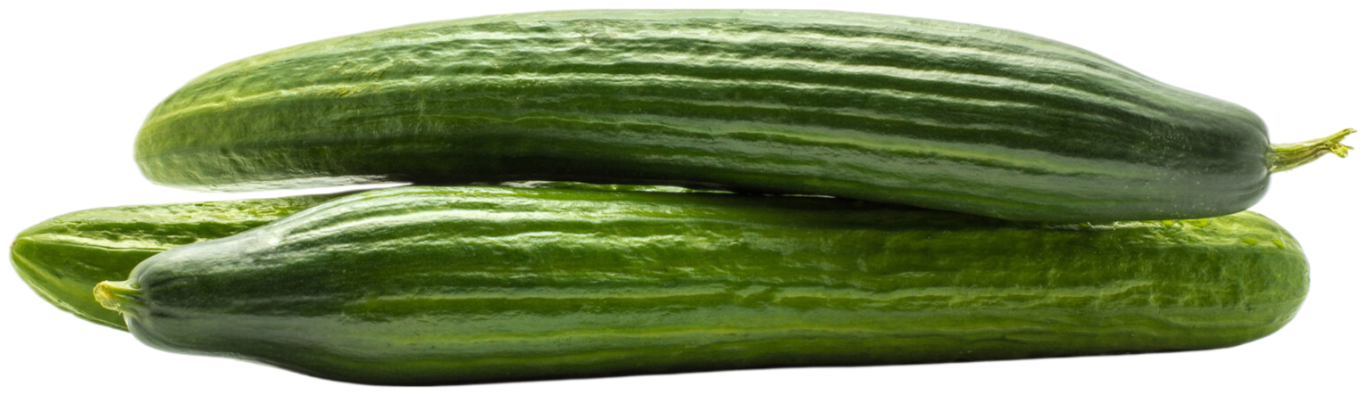 Organic English Cucumber - EACH