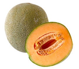 Organic Cantaloupe Melon - EACH