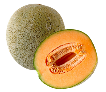 Organic Dry Farm Sugar Cube Melon - EACH