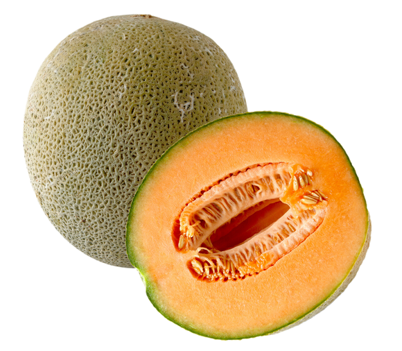 Organic Dry Farm Sugar Cube Melon - EACH