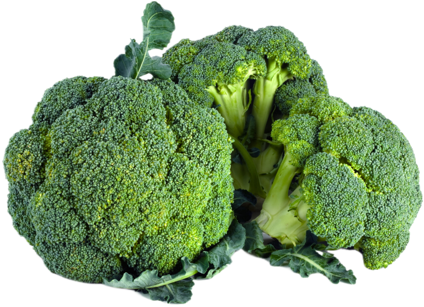 Organic Broccoli Crowns - 1 LB