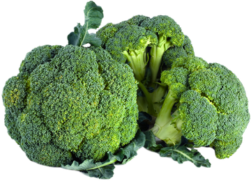 Organic Broccoli - PER LB