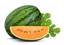 Organic Orange Daybreak Watermelon- EACH-2