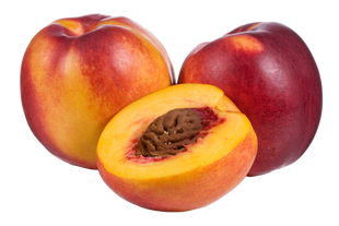 Organic Giant Brite Nectarine - EACH