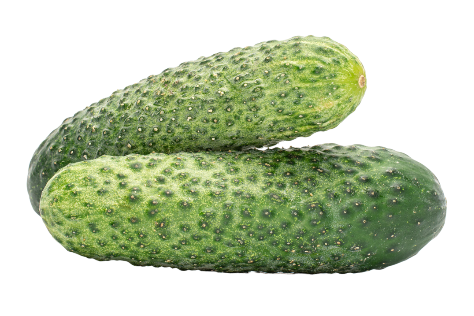 Organic Pickling Cucumbers - PINT