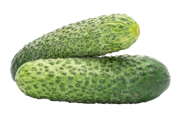 Organic Pickling Cucumbers - PINT