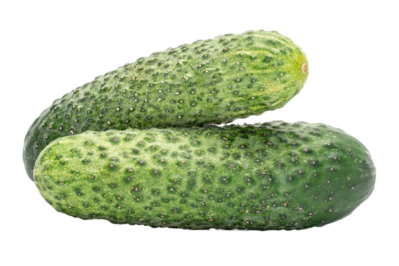 Organic Pickling Cucumbers - PINT