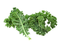 Organic Kale - BUNCH-1