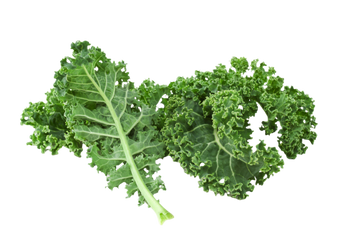 Organic Kale - BUNCH