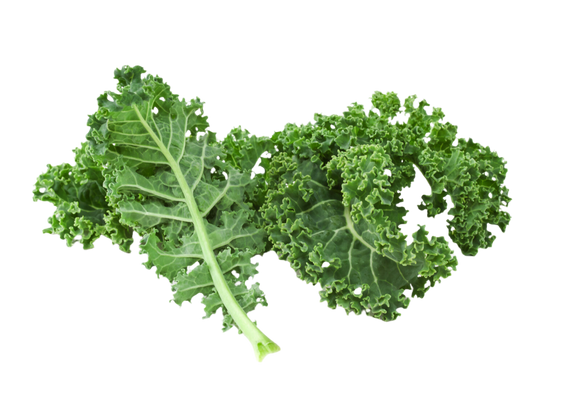 Organic Kale - BUNCH