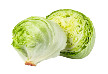 Organic Iceberg Lettuce - HEAD