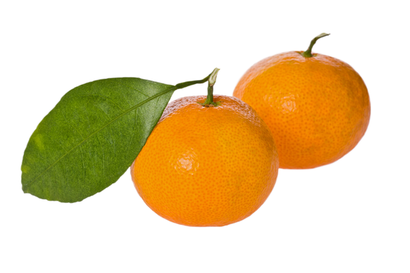 Organic Page Mandarins - PINT