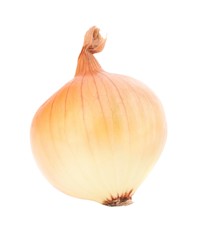 Organic Sweet Onion - EACH