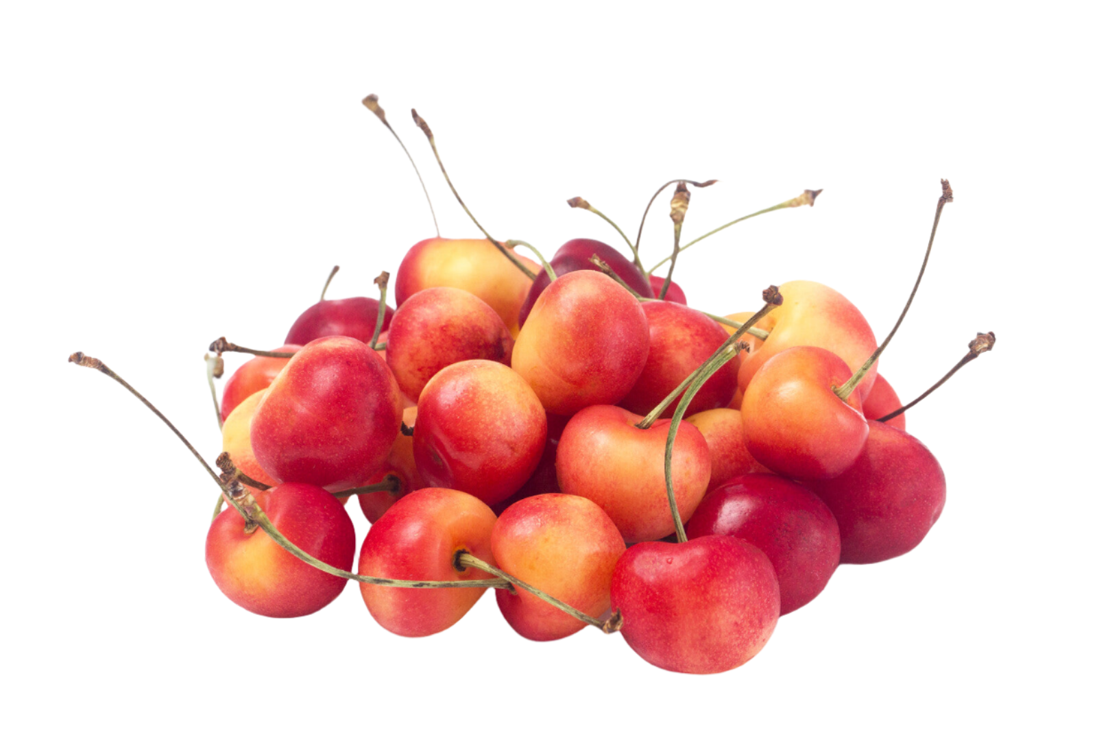 Organic Rainier Cherries - 1 LB