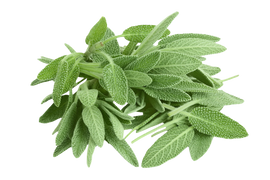 Organic Sage - CLAMSHELL