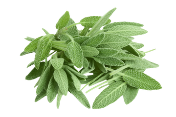 Organic Sage - CLAMSHELL