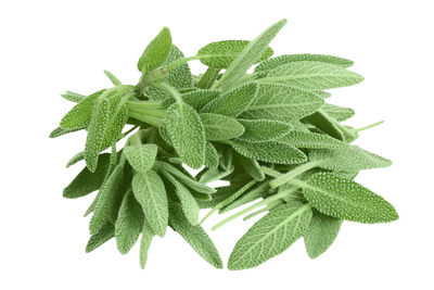 Fresh Herbs