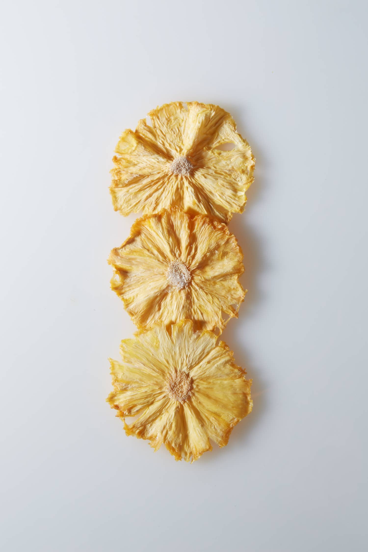 Crispy Pineapple Slices w Tajin Seasoning | 0.3 oz-4