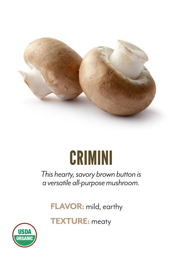 Crimini Mushroom variety card