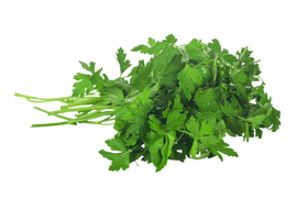 Organic Cilantro - BUNCH