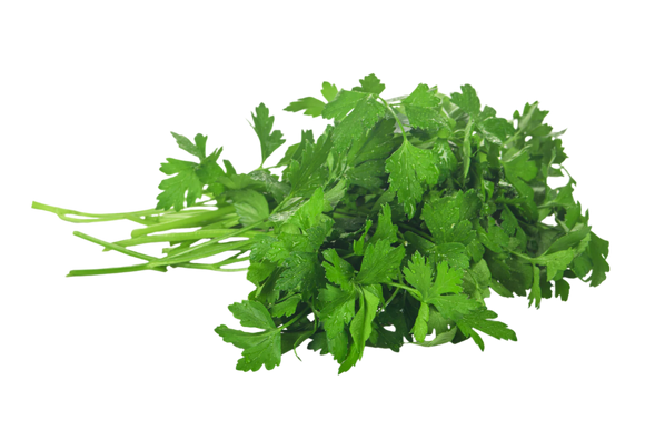 Organic Cilantro - BUNCH