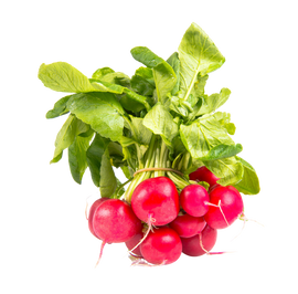 Organic Radishes - 1/2 PINT