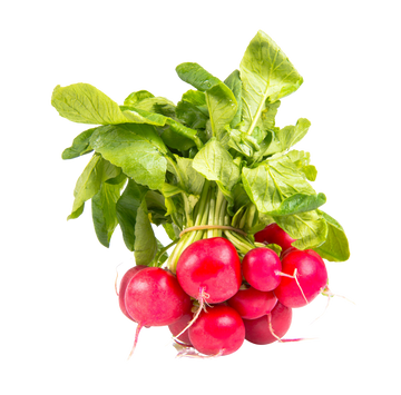 Organic Radishes - 1/2 PINT