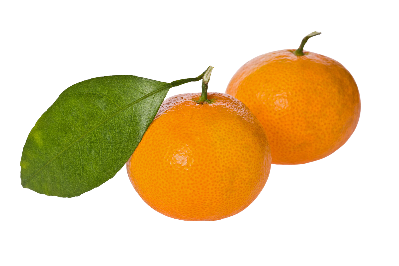 Organic Fremont Tangerine - PER LB