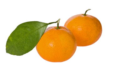 Organic Satsuma - 2 LB BIN