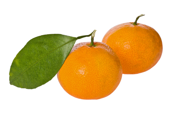 Organic Satsuma - 2 LB BIN
