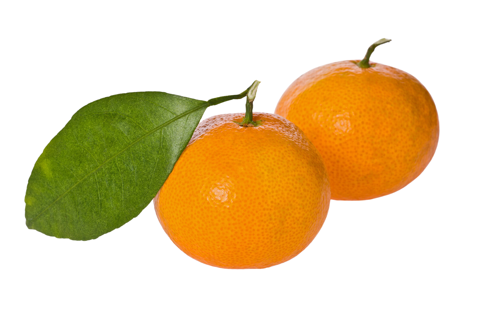 Organic Murcott Tangerines - 1 LB