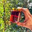 Redbloom | World's First Gut-Healthy Chili Sauce: Mild Mistress-3