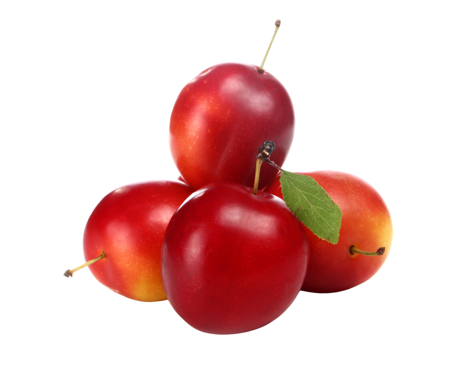 Organic Verry Cherry Plums - PINT
