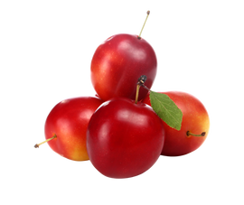 Organic Verry Cherry Plums - PINT