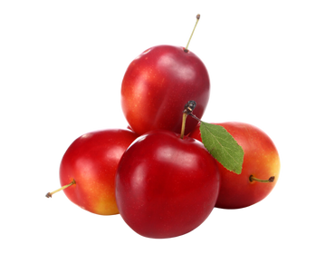 Organic Verry Cherry Plums - PINT