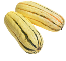 Organic Delicata Squash - PER POUND-1