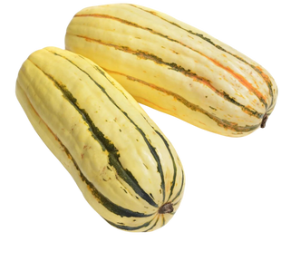 Organic Delicata Squash - PER POUND