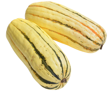 Organic Delicata Squash - EACH