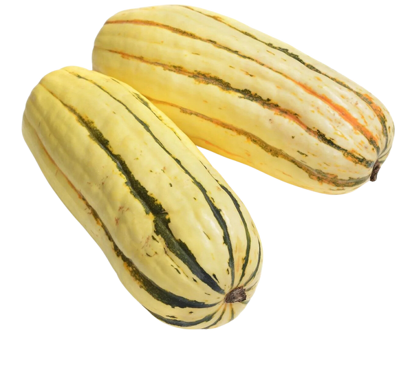 Organic Delicata Squash - EACH