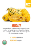 Delicata Squash variety card