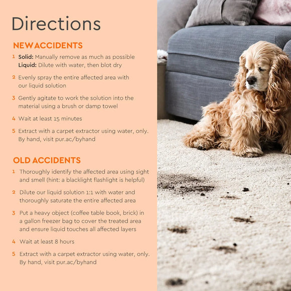 Pet Stain + Odor Remover