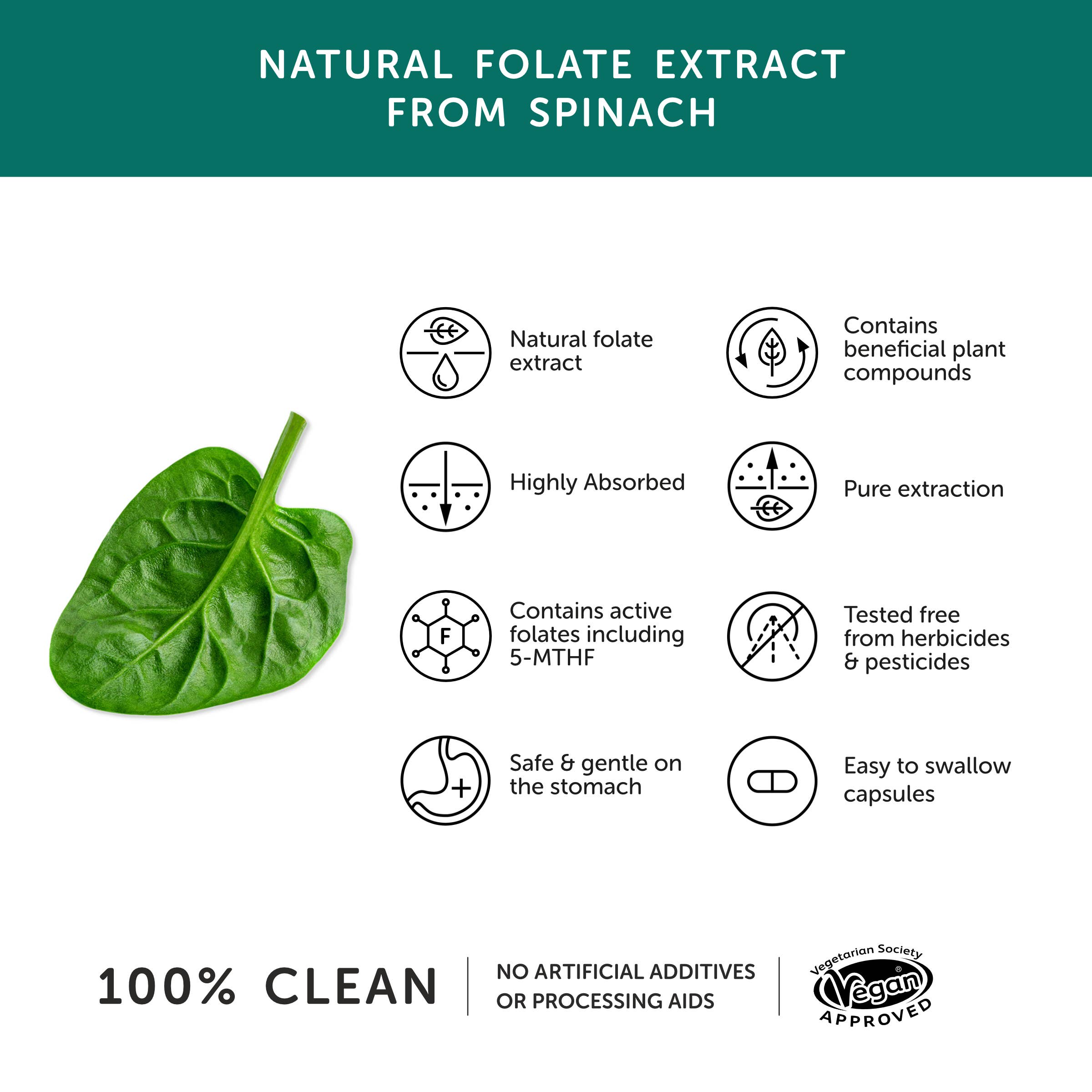 Folate – Natural Alternative to Folic Acid – 30 Capsules