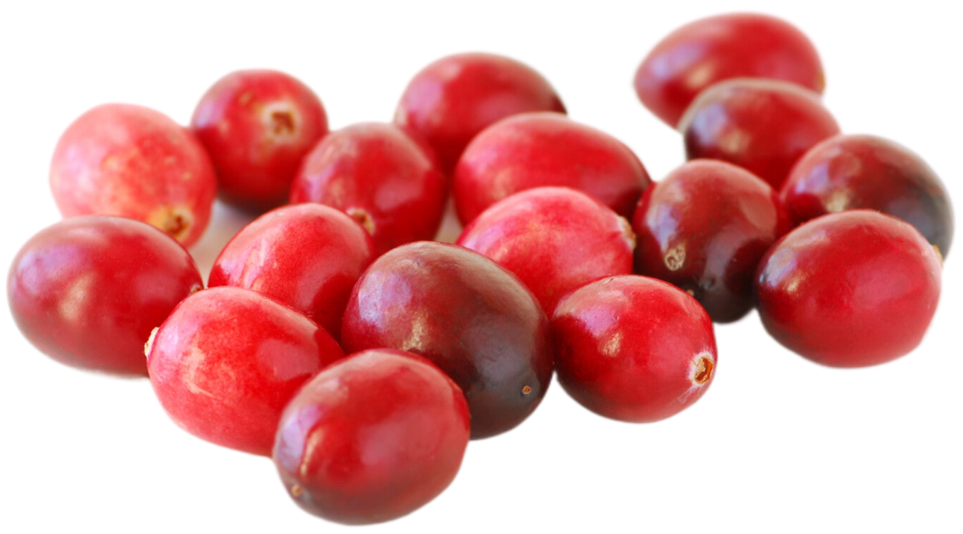 Organic Cranberries - PER LB