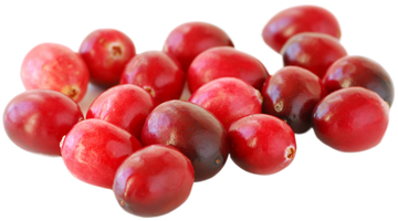 Organic Cranberries - PINT