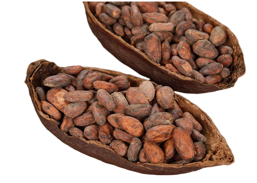 Cocoa Bean Butter Essential Oil 50mL
