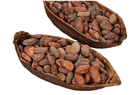 Cocoa Bean Butter Essential Oil 50mL