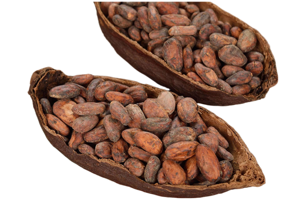 Cocoa Bean Butter Essential Oil 50mL