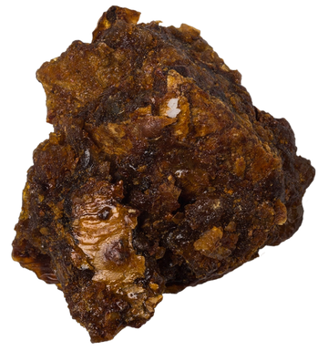 Myrrh Resin Oil Organic 10 mL