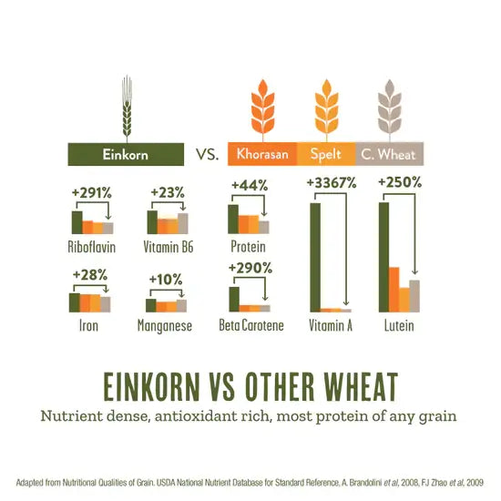 Organic Einkorn Seeds & Sea Salt . 5.11 OZ