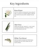 Toning Mist with Rose & Aloe: 4 fl oz.-4